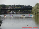 frankencup2013_470.jpg